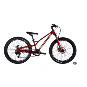 Подростковый велосипед с колёсами 24" Discovery FLINT AM DD 2025