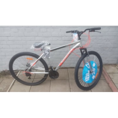 29" Discovery Rider